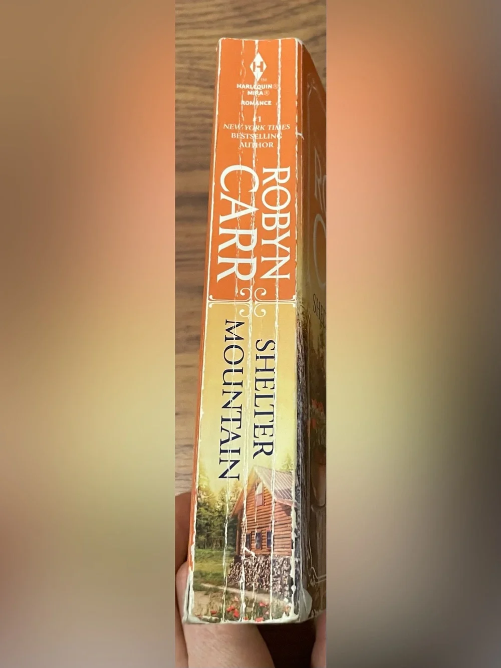 Shelter Mountain Paperback Book by Robyn CarrBook 2 Virginia River Series
